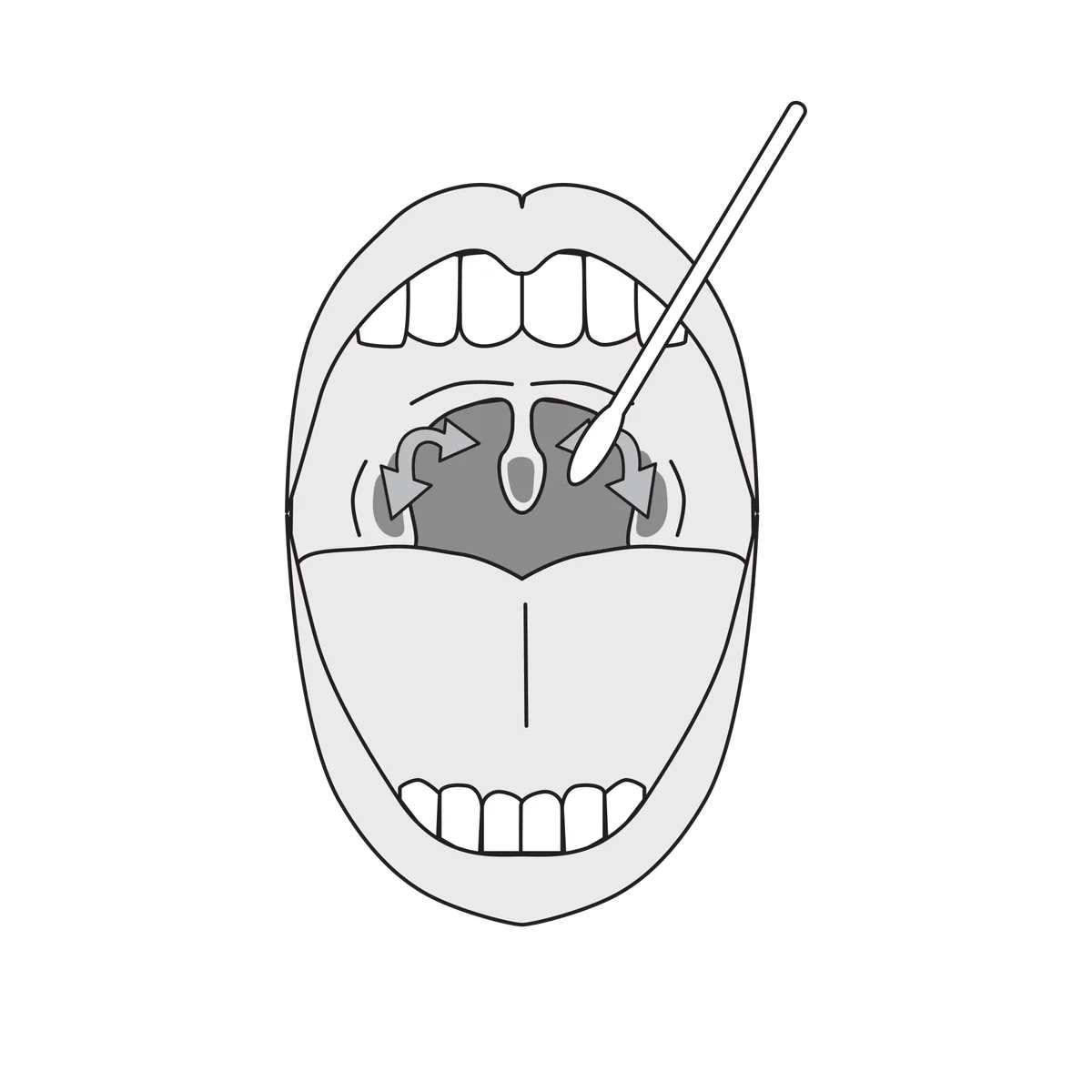 The swab wiped over both tonsils and the back of the throat, with arrows showing the path