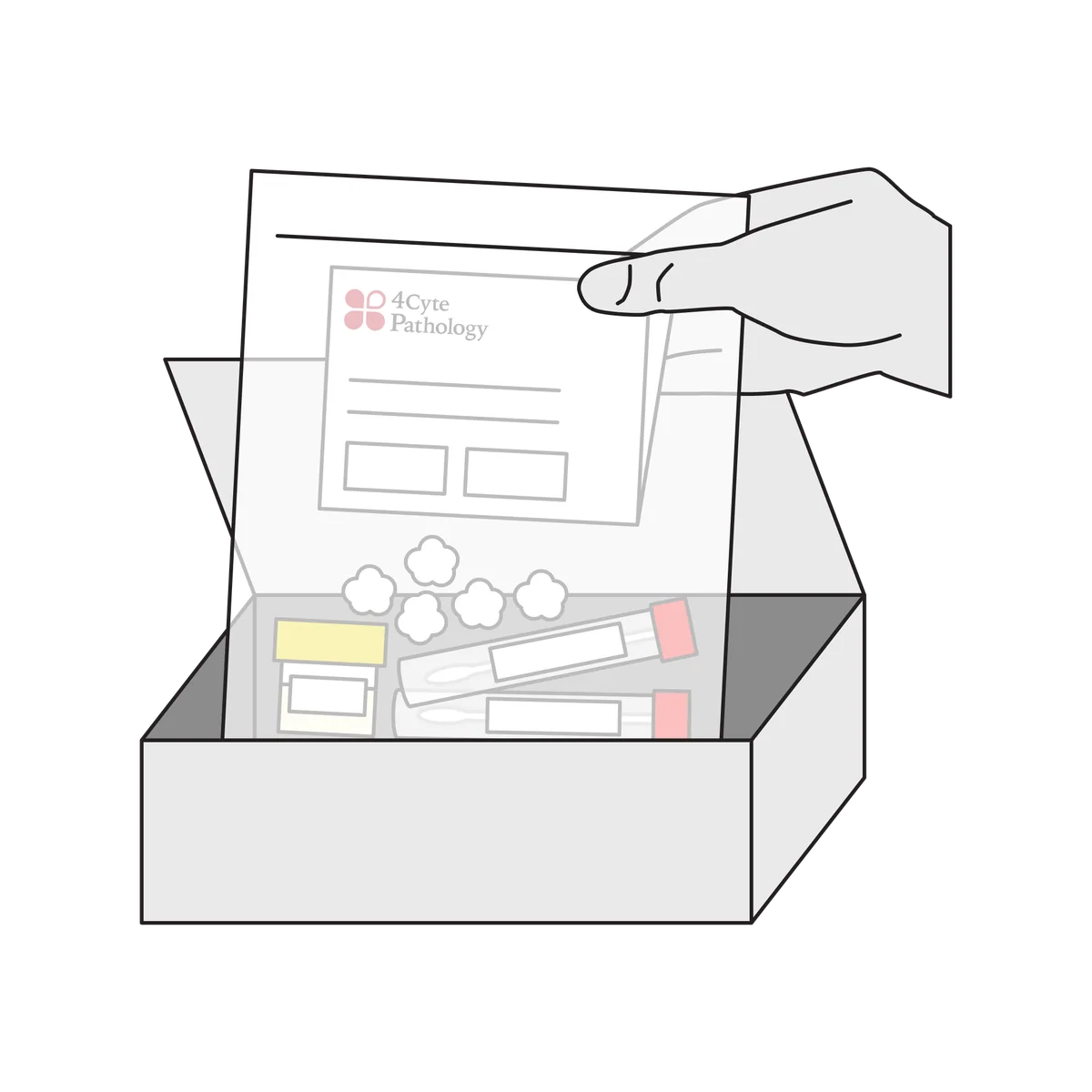 The specimen bag, holding the request form and the labelled samples, going into the mailer box